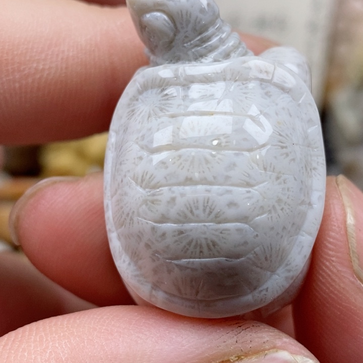 颈饰未镶嵌硅化珊瑚（珊瑚玉）