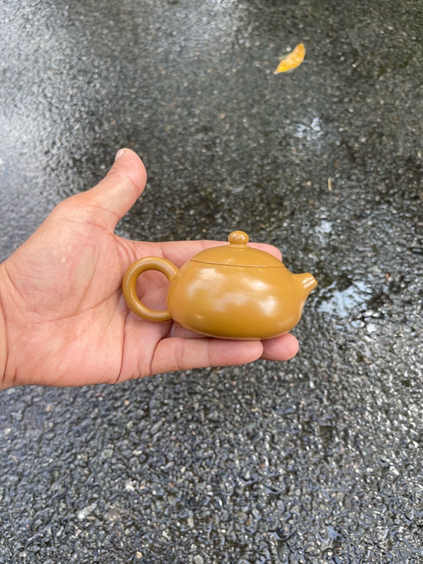 扁西施款手拉壶泡茶壶！容量130毫升！黄金朱泥！做工精细！出水爆爽