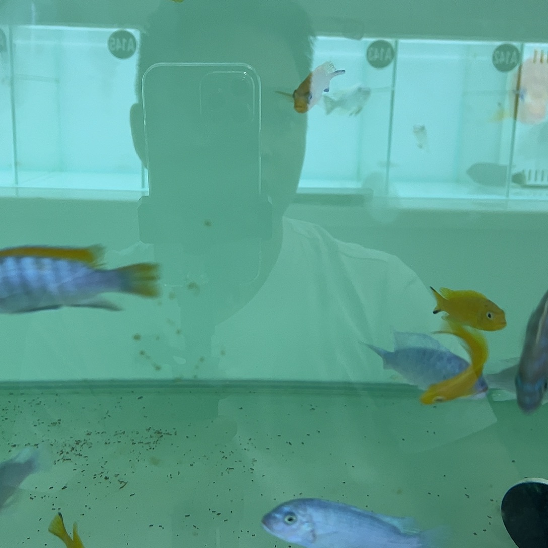 海水鱼2222222222222222
