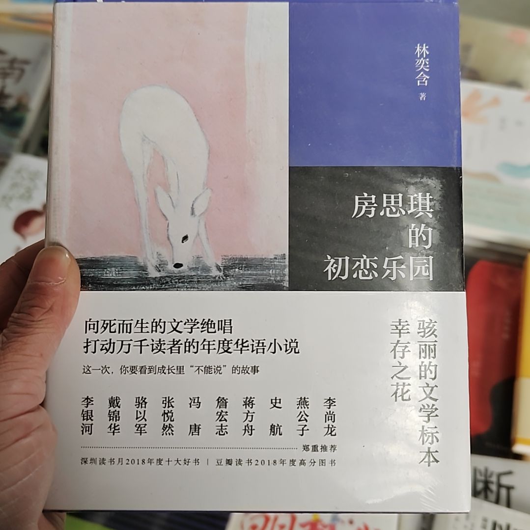 房思琪的初恋乐园