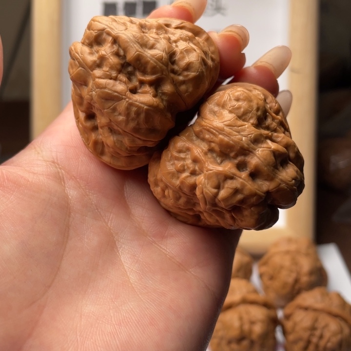 延庆蛤蟆头三角蛙43-46。