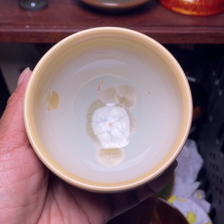 茶盏你不是说今天给我们