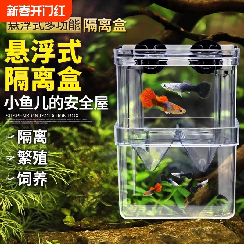 鱼缸孔雀鱼斗鱼隔离孵化盒鱼苗繁殖产卵器水族冲氧神器