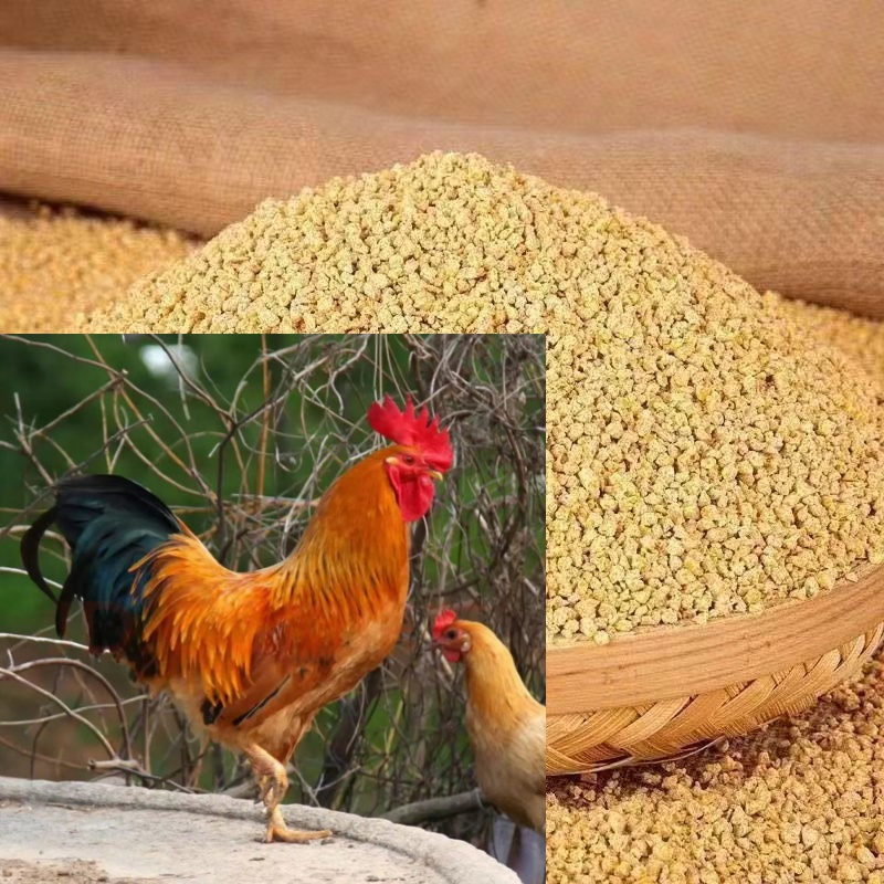 营养均衡好喂养好饲料