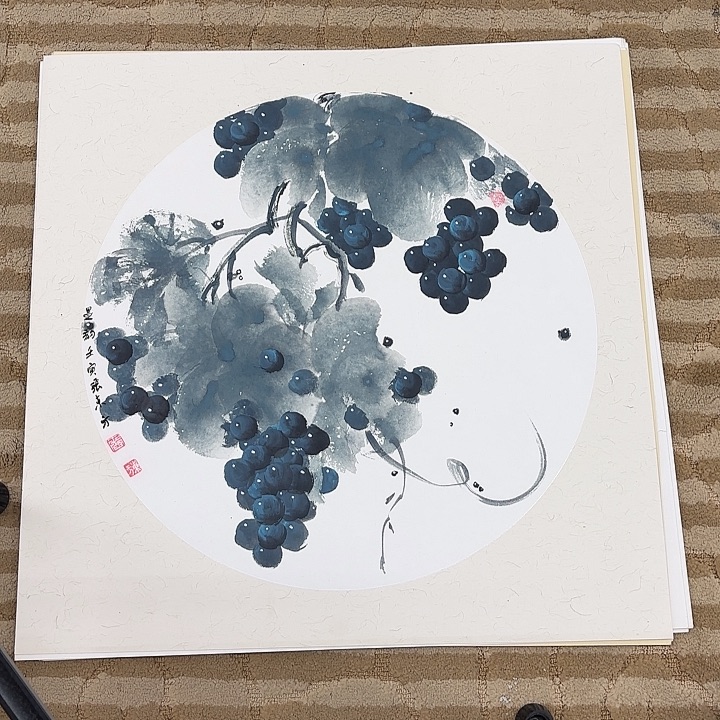 国画花鸟等多种鸟类和鸟类的栖息地