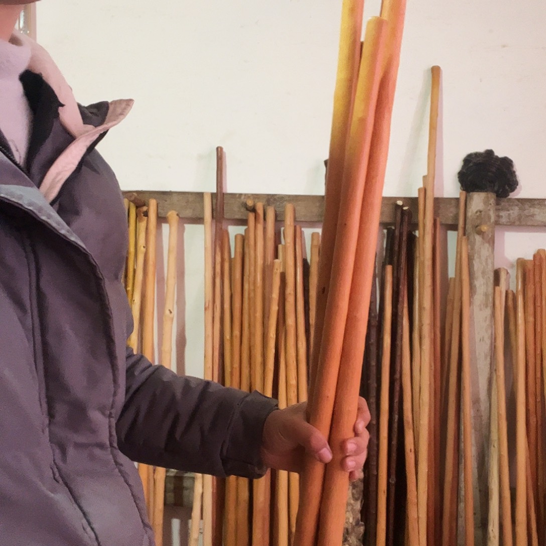 闻***一秦岭山脉红荀子4根