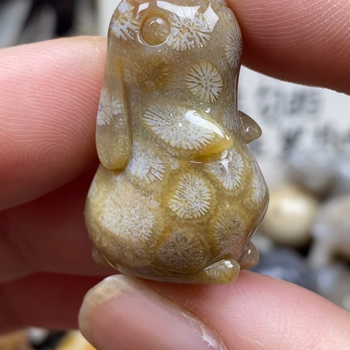 硅化珊瑚（珊瑚玉）未镶嵌颈饰