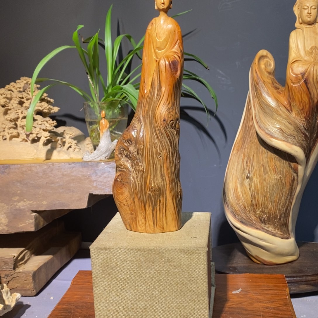 柏木（崖柏）太行1588552366