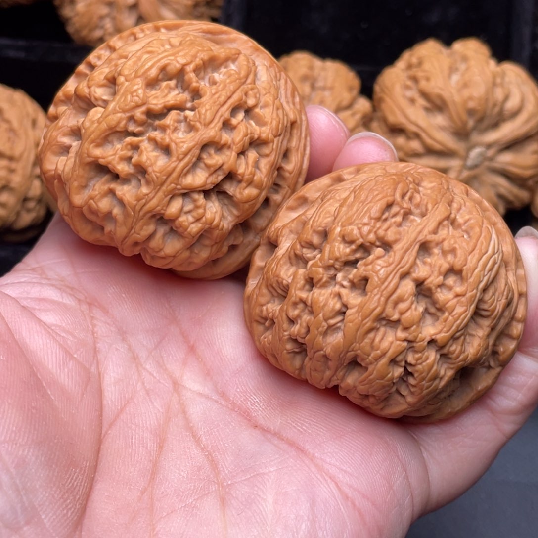 秦岭山地过核桃地