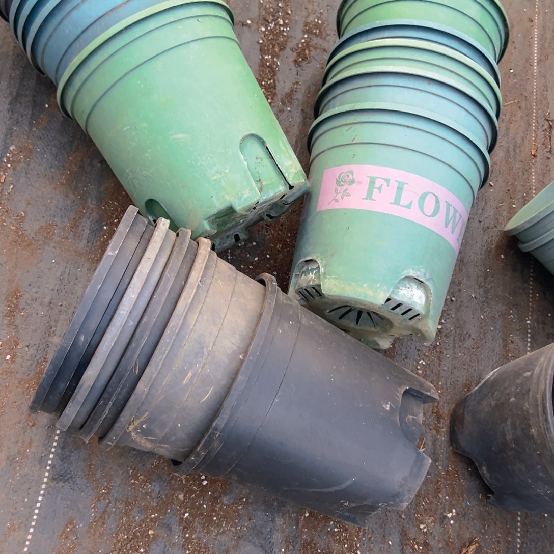 塑料加伦盆组合 随机发货 5个 19口径 19高