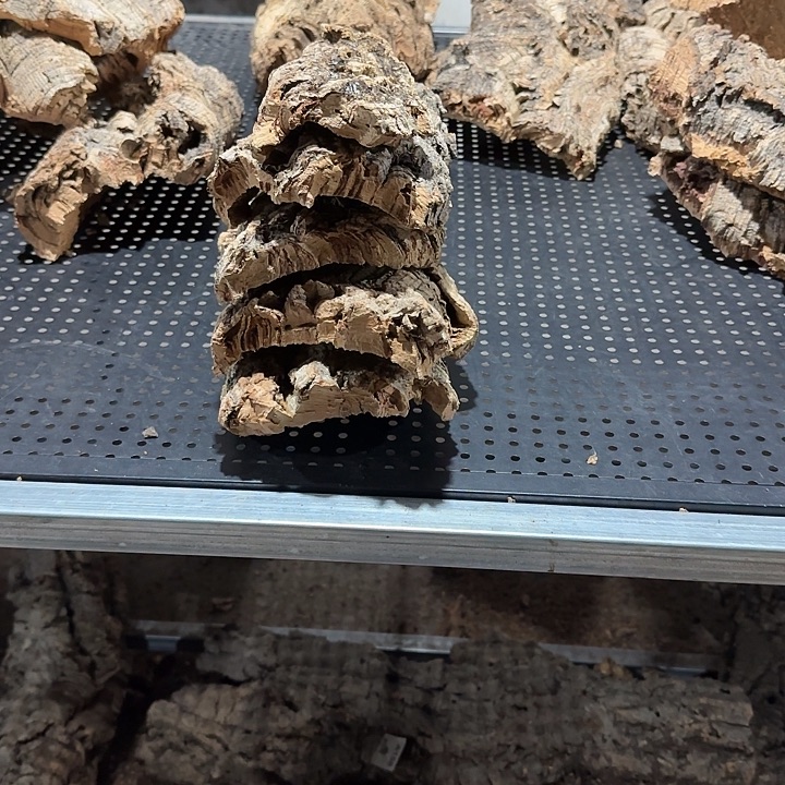 s***所无花朵一物一拍一物一发