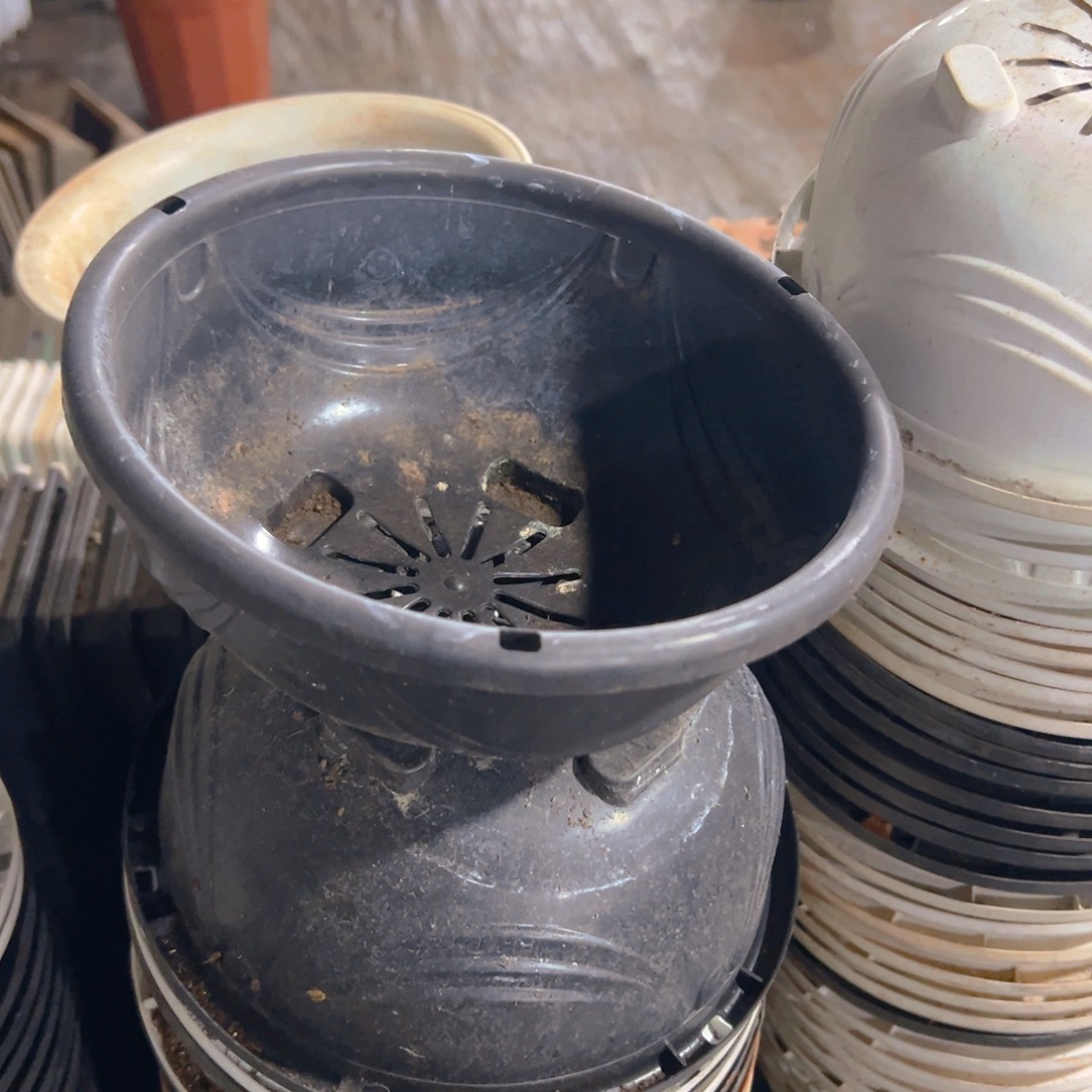 加厚硬吊兰盆21口径10高 10个