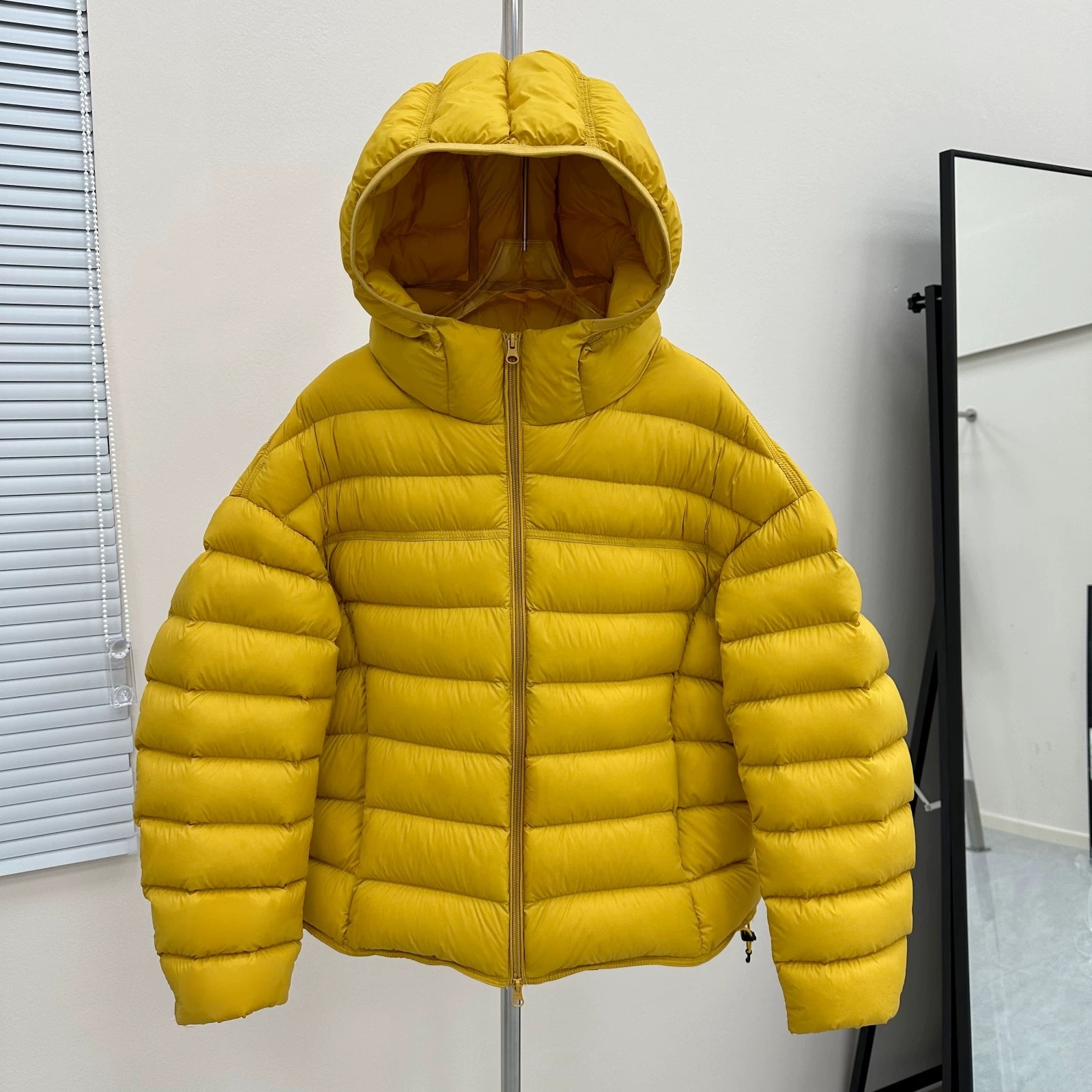 时尚连帽女士保暖韩版显瘦鸭绒加厚短款冬季休闲