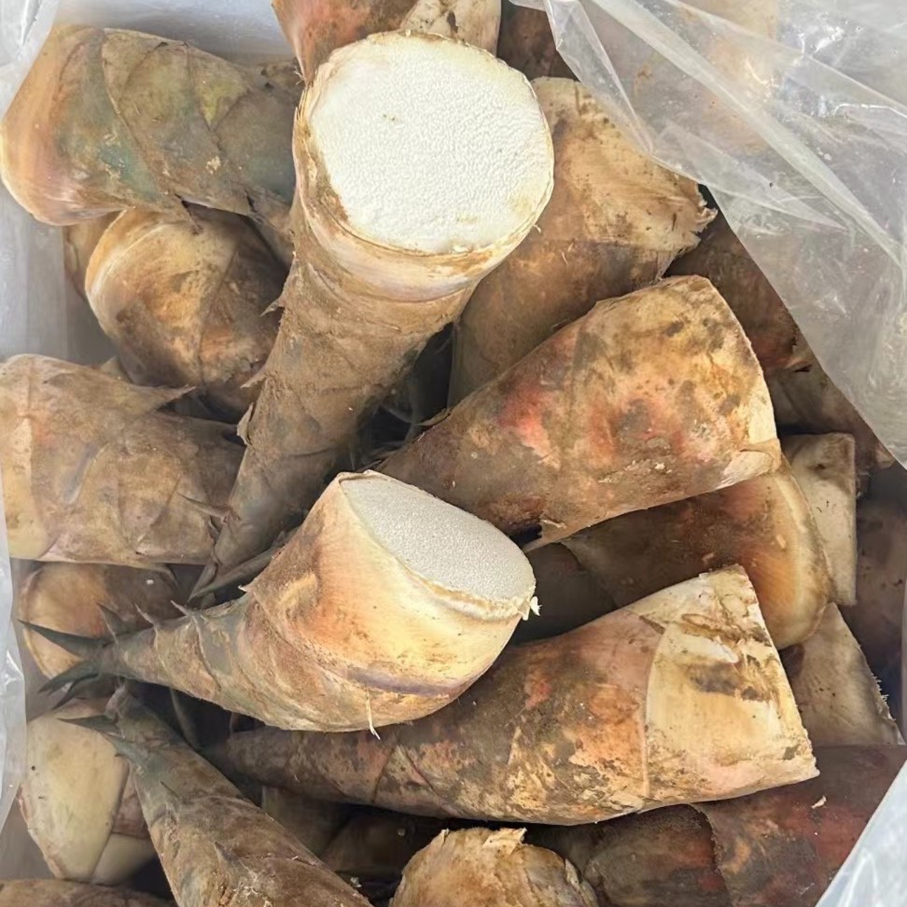 云南普洱甜笋鲜嫩鲜甜美味顺丰冷链专车送货上门