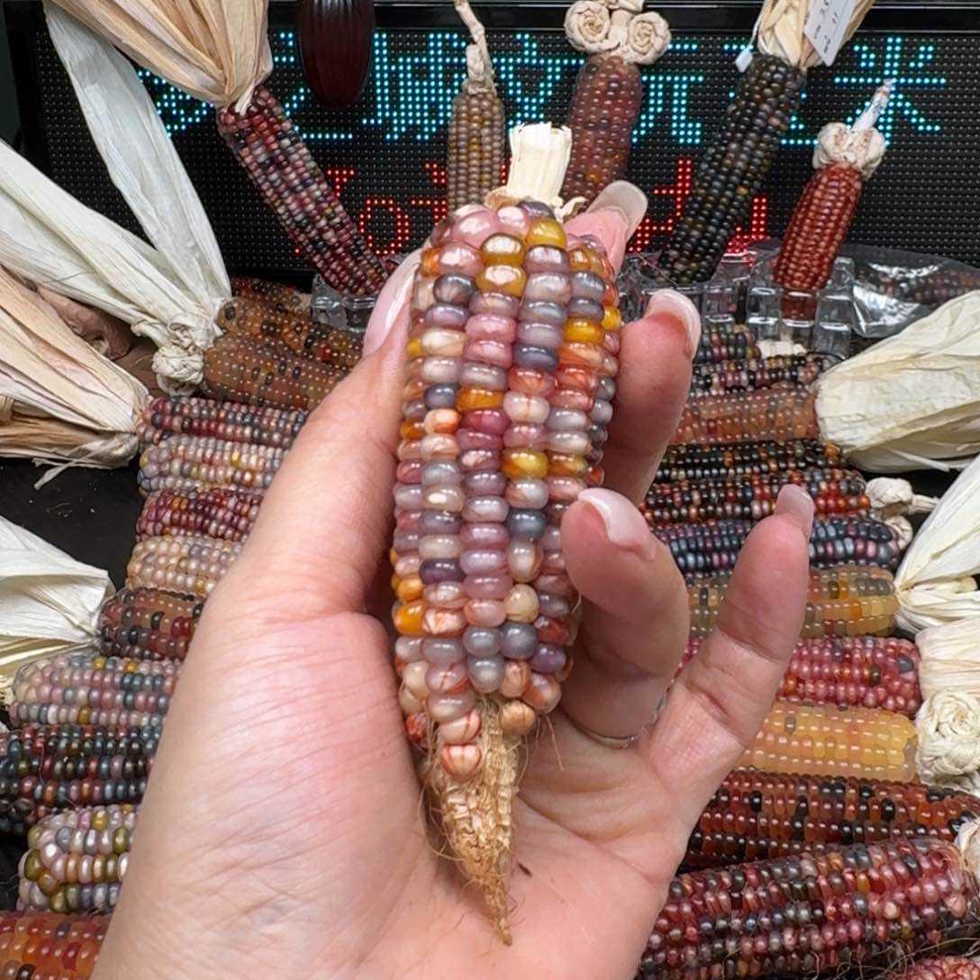 柏香籽/百香籽吊坠万*。