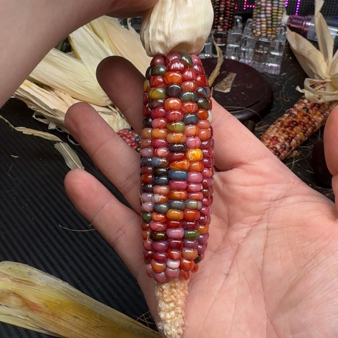 柏香籽/百香籽吊坠?****?