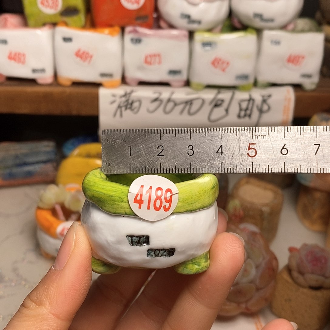 红陶拍5送一个小