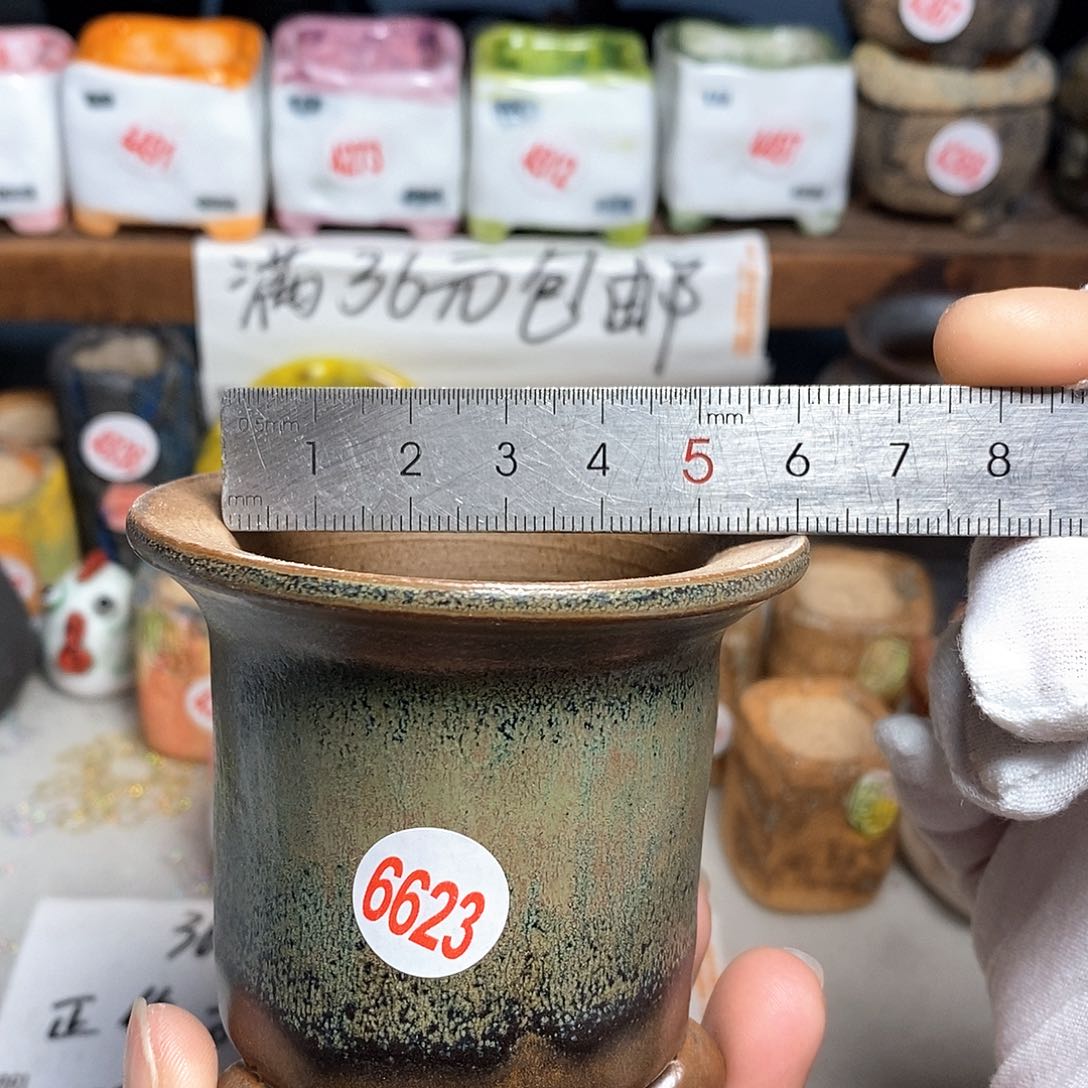 红陶拍5送一个小