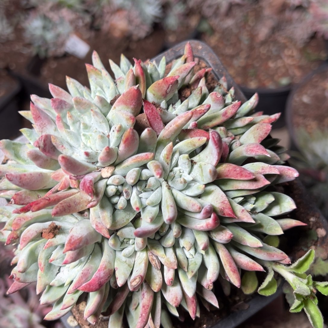 1226哈哈哈哈哈哈哈哈哈哈