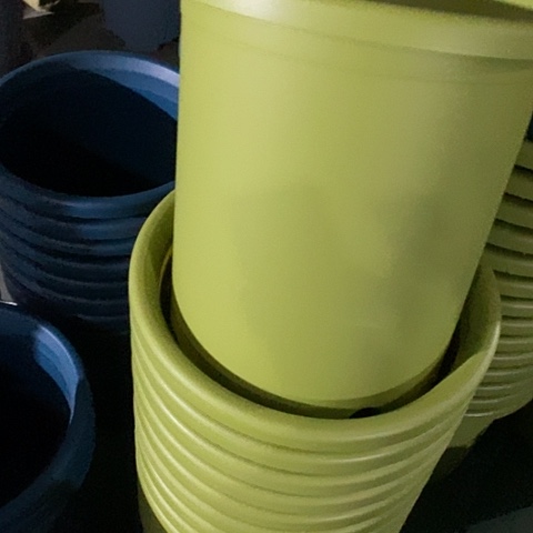 树脂四季7号果绿无托6个