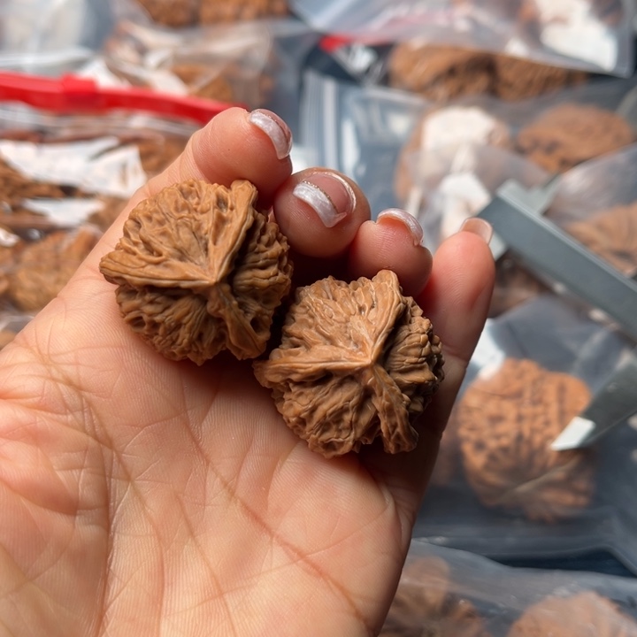 核桃30盘山三棱微微修