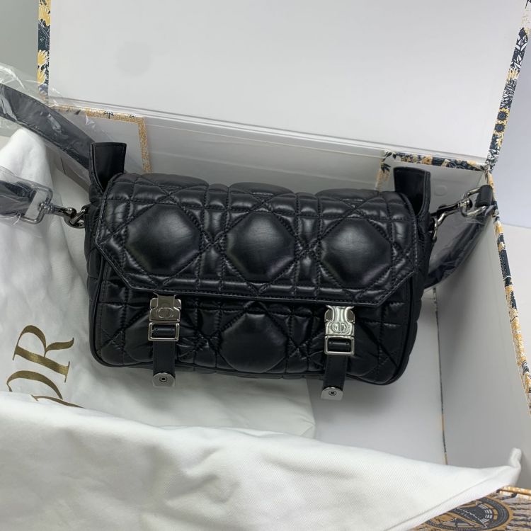 95新/迪奥/单肩包/C10903800023/[251212LLYC]