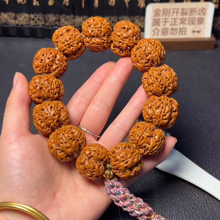 手串金刚菩提五抓金龙