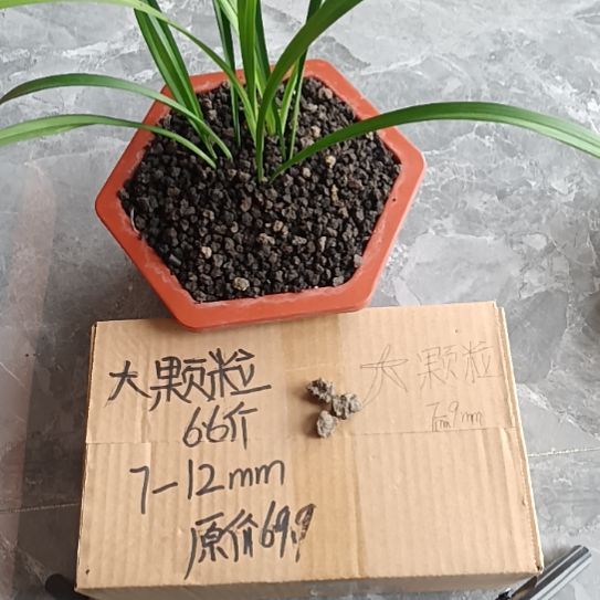 用***6兰菌黑山土大颗粒6.6斤