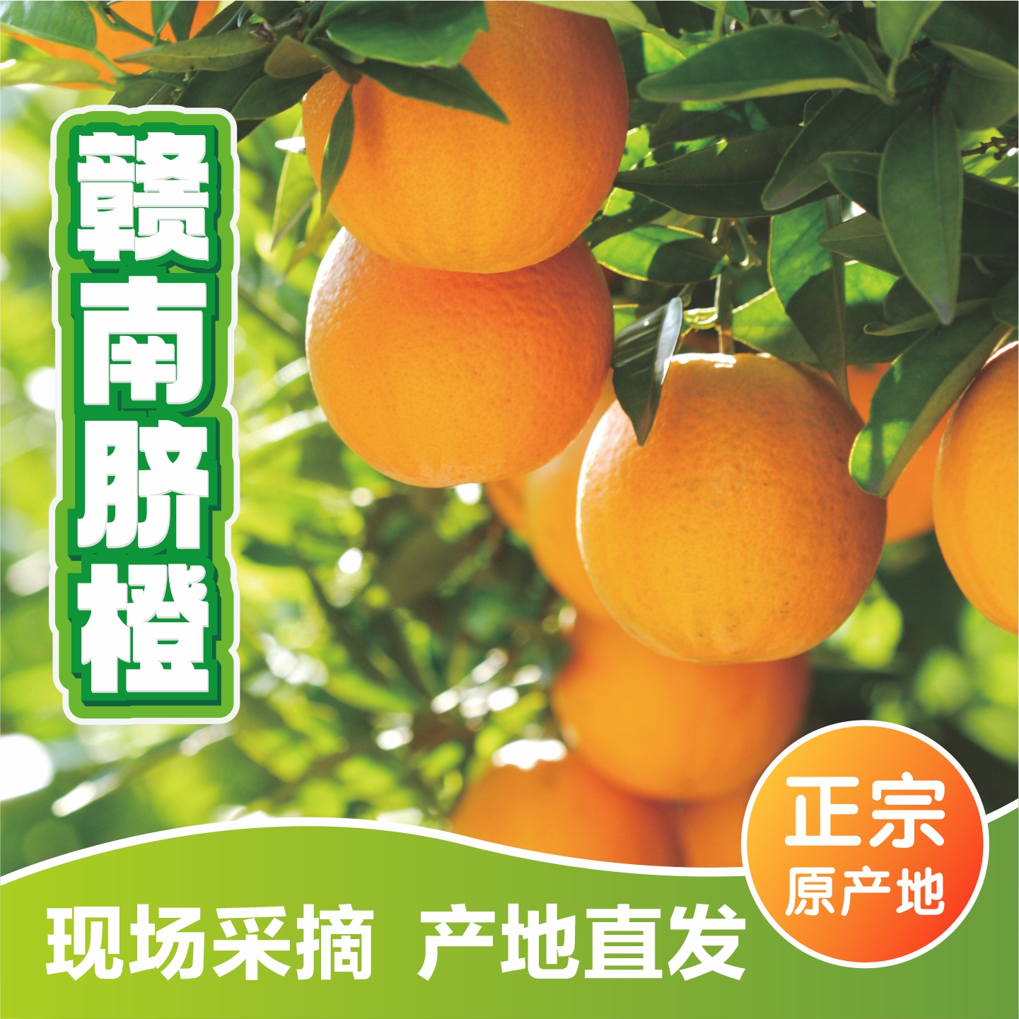 正宗江西赣南脐橙农家甜橙现摘新鲜产地直发10斤装