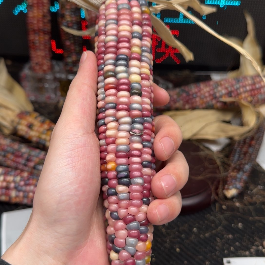 柏香籽/百香籽吊坠六****