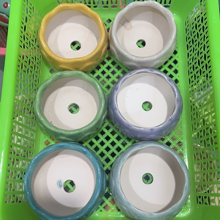 6个《所有单满15发（花盆）》8×5