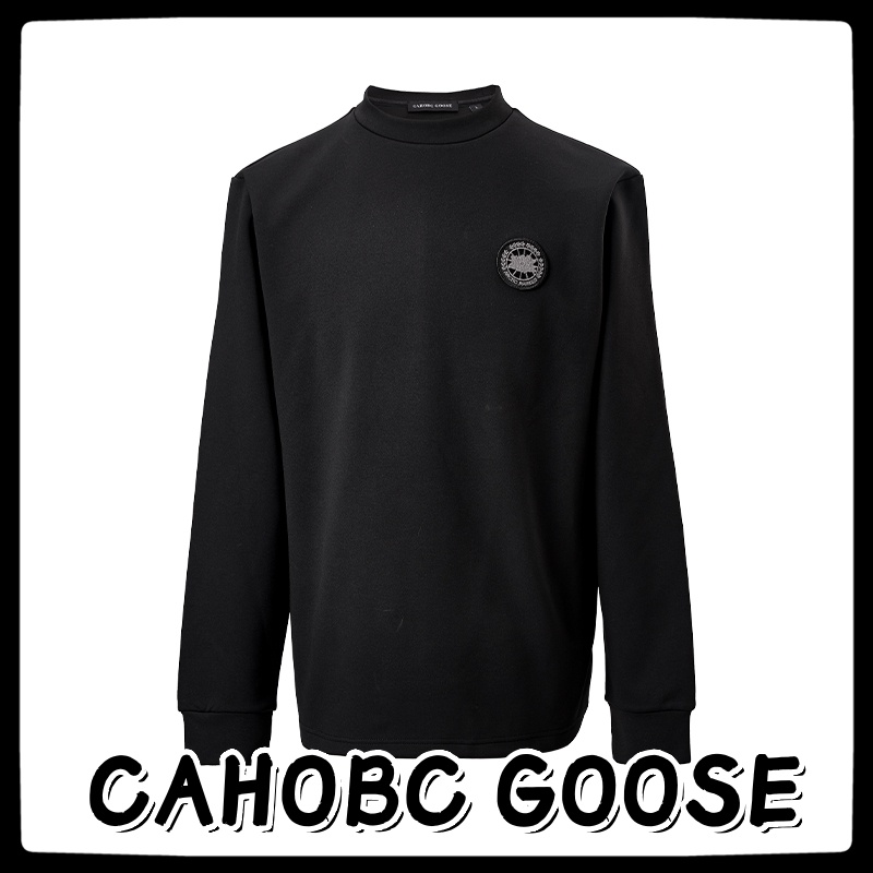 新款CAHOBC GOOSE男款外穿长袖卫衣加厚打底衫秋冬季套头男士上衣