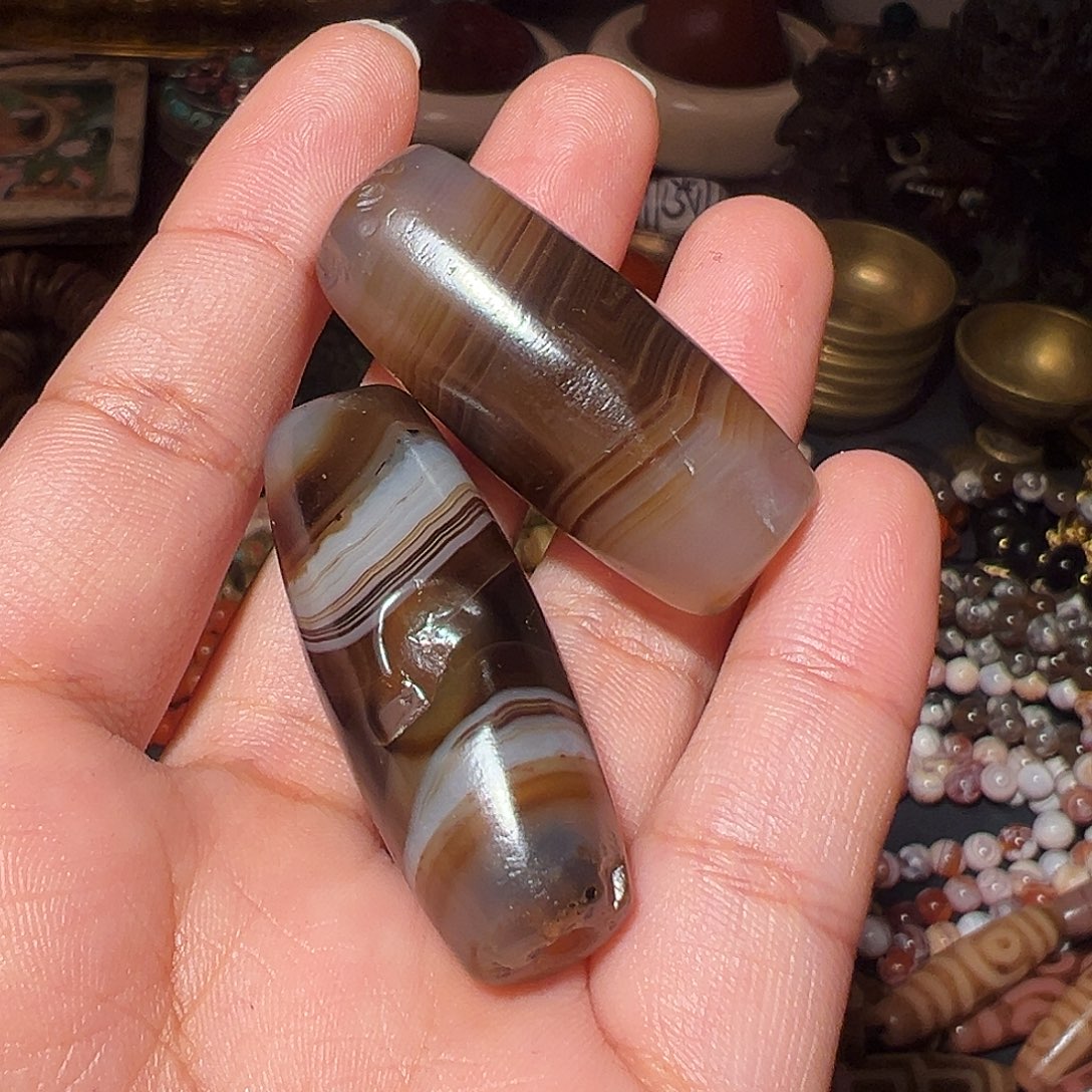 疯***狗非洲紫檀（红花梨）