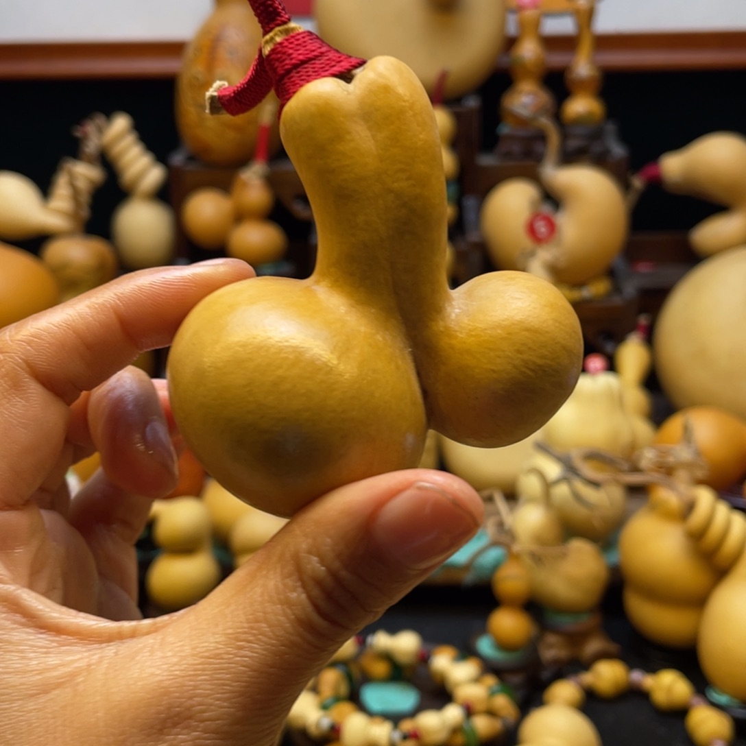 来大自然的秘密第十节第一