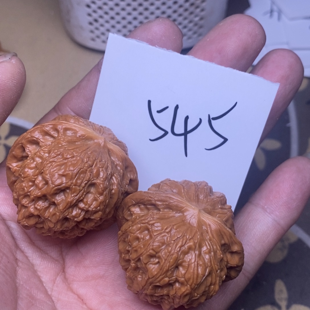 核桃血麒麟尺寸39