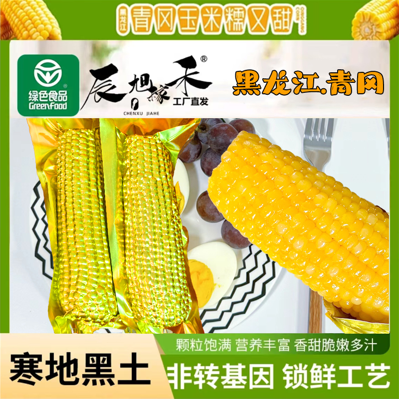 25年新玉米黑龙江青冈绿色食品小棒黄甜糯玉米220-240克试吃两支