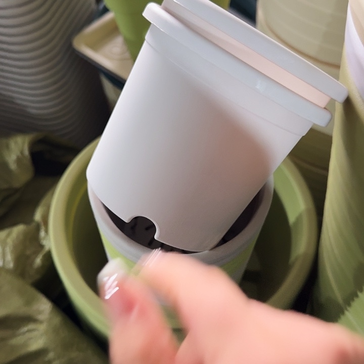 四季1号灰白无托20个特价