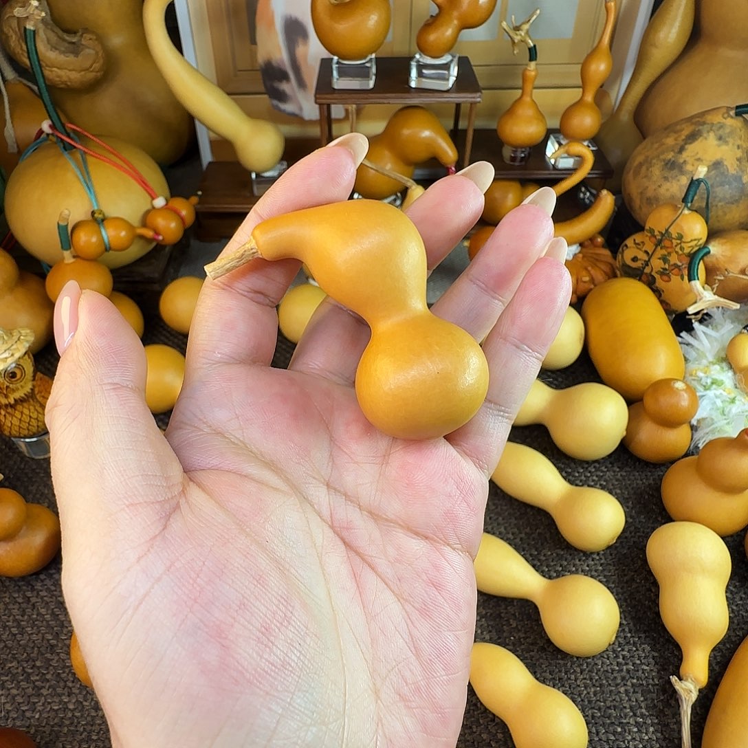 ****你可爱小猪猪一枚瓷皮