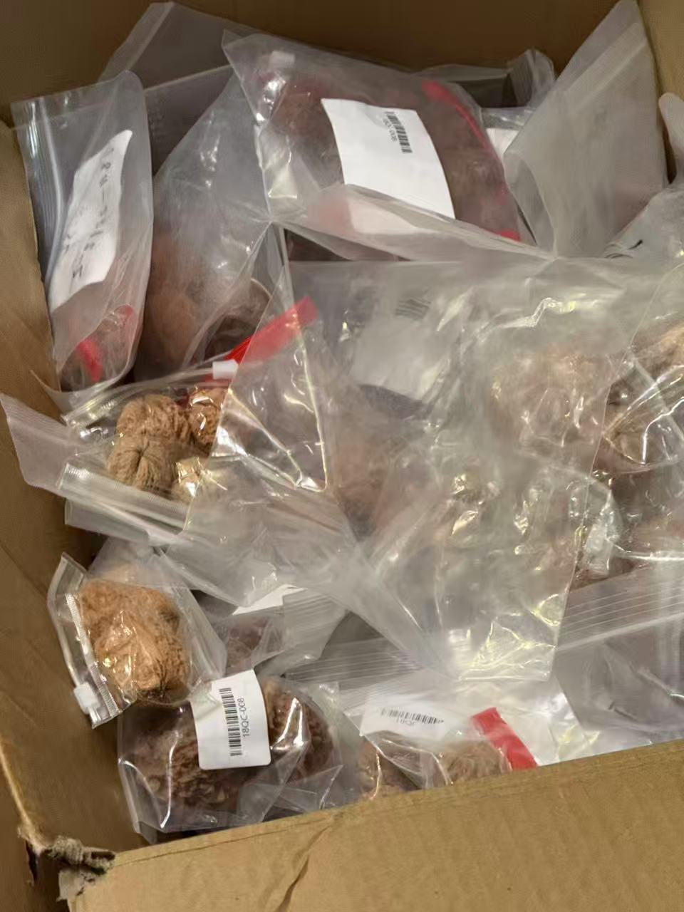 核桃多样性发货发其一18251207-03