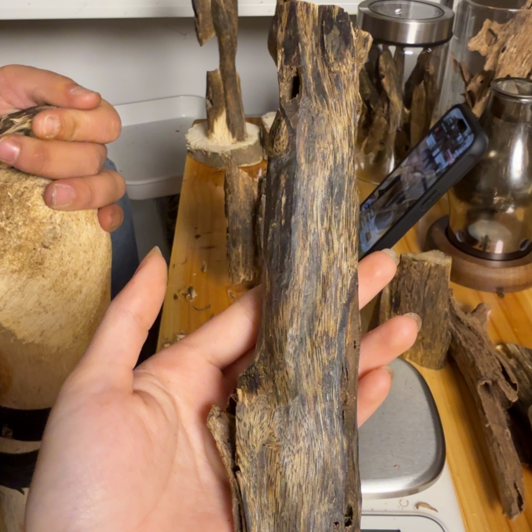 沉香绿奇虫漏香58克