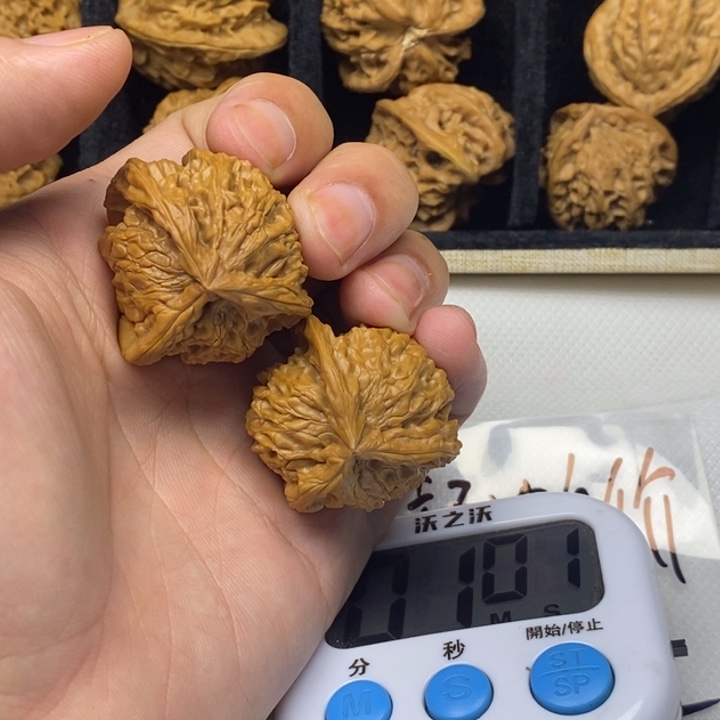 小***苗无花朵哈哈哈哈哈这就是