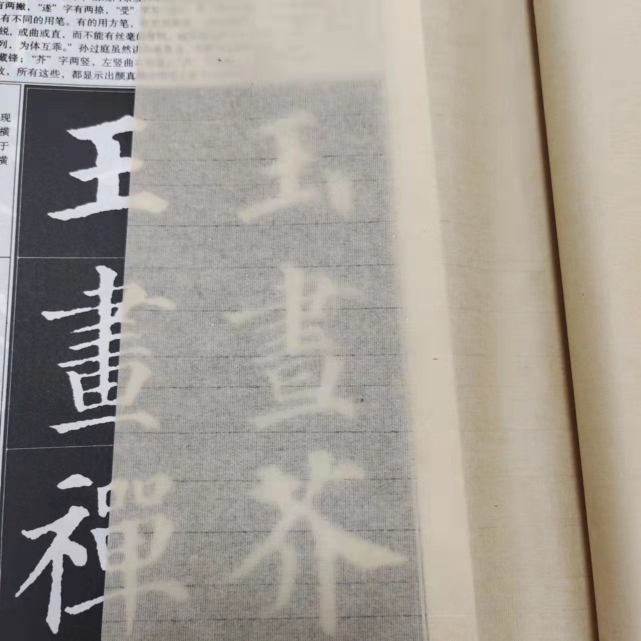 【直播福利】扎花蝉翼纸珠光云母 白色35cm*50m