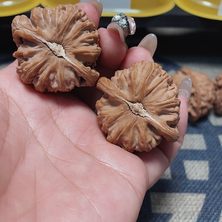 文玩核桃把件?*眠白狮子41