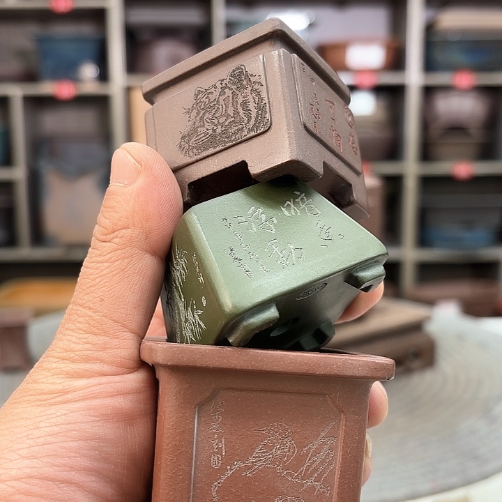 紫砂花盆紫砂的花也太美太