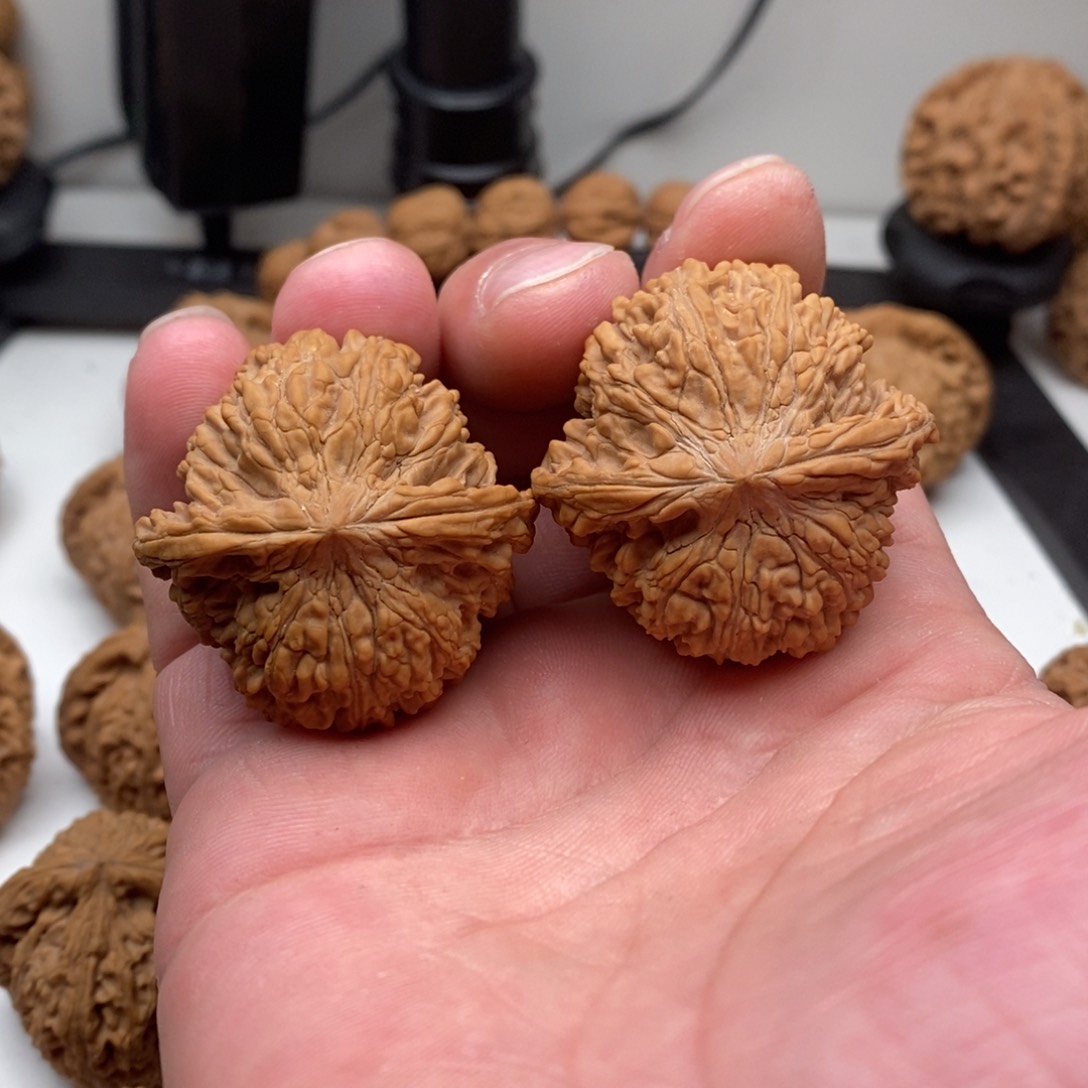 文玩核桃吊坠满天星41