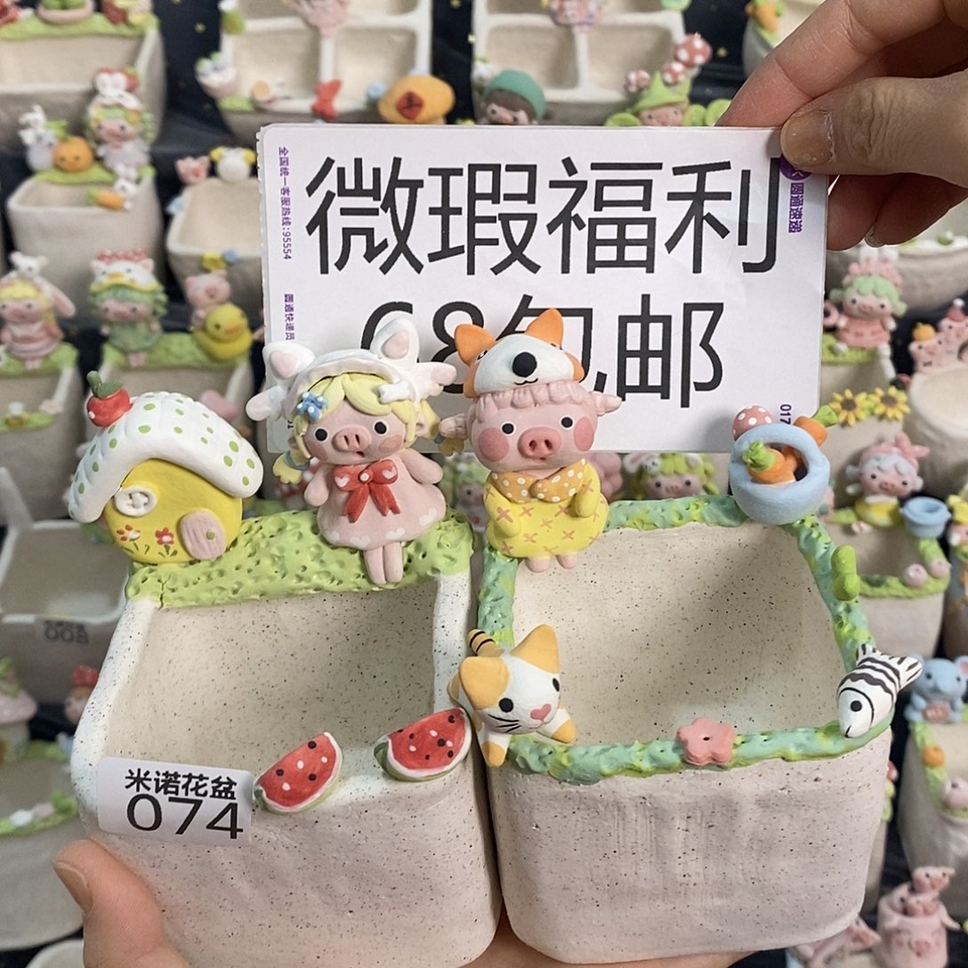 米诺多肉植物花盆074