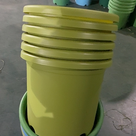 树脂微瑕5号6个无托果绿