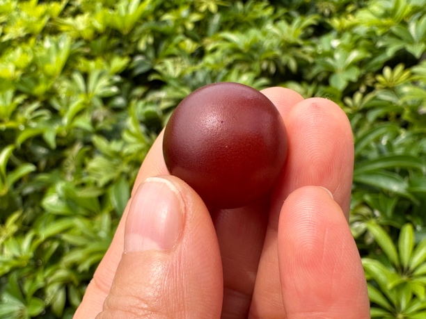 精品老蜡单珠，可以编一个锁骨珠，支持复检尺寸：21.3mm克重：5.39g