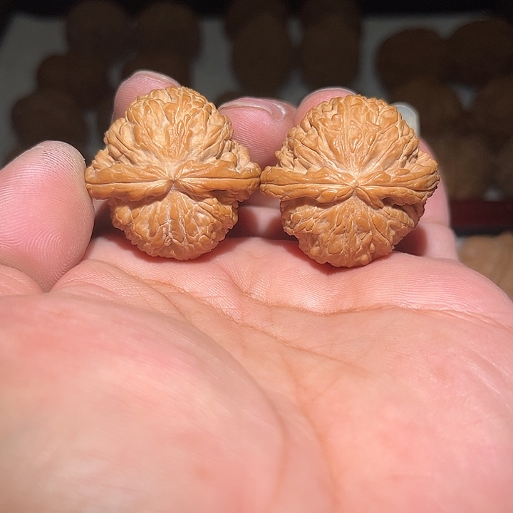 木36粗筋百狮子。     