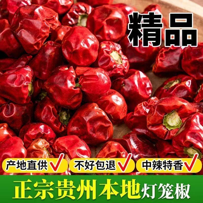 特香贵州正宗灯笼椒中辣香辣辣椒优质糍粑火锅批发红油海椒干辣椒